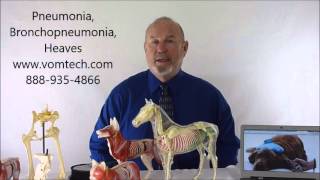 Pneumonia Bronchopneumonia and Heaves in all Animals [upl. by Naveb]