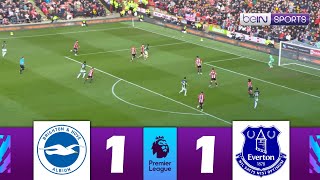 Brighton vs Everton 11  Premier League 202324  Match Highlights [upl. by Aivart]