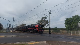 Steamrail R761 and A66 passing Diggers Rest on the Vintage train from Castlemaine [upl. by Mada]