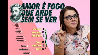 Luís de Camões  Amor é fogo que arde sem se ver [upl. by Pellegrini857]