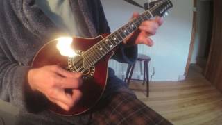 Dunmore Lasses reel Mandolin [upl. by Kopp]