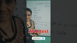 ANA Test  Immune Disorder test  Antinuclear Antibody shorts viral [upl. by Chauncey297]