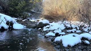 Freezing Cold Nature Mountain Stream Sounds Birds Chirping to Eliminate LifeThreatening Situation [upl. by Sennahoj]