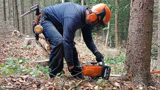 Práce v lese stihl ms 271 work in forest stihl ms 271 🌲 [upl. by Akenal612]