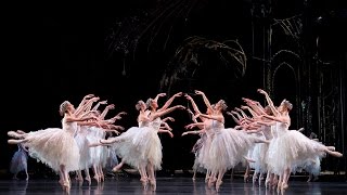 Swan Lake Corps de Ballet The Royal Ballet [upl. by Natlus260]