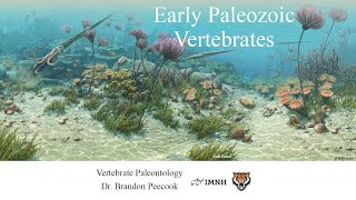 Lecture 6 Early Paleozoic Vertebrates Jan 25 [upl. by Jeconiah]