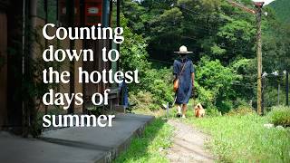 Counting down to the hottest days of summer in the Japanese countryside [upl. by Aguayo]