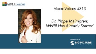 MacroVoices 313 Dr Pippa Malmgren WWIII Has Already Started [upl. by Hock]