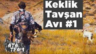 Keklik Tavşan Avı Ata Team 1 Bölüm Yaban Tv Partridge Hunting [upl. by Horodko887]