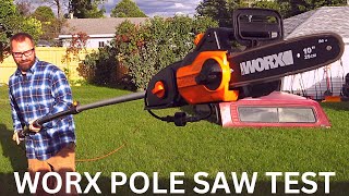 Worx 8 Amp Pole Saw Unboxing and Review [upl. by Notsua]