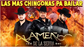 Los Alameños de La Sierra  Las Mas Chingonas Pa Bailar  100 Cumbias Sierreñas [upl. by Fry]