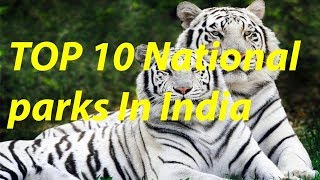 TOP 10 NATIONAL PARKS IN INDIA [upl. by Nepets]