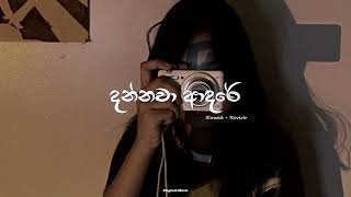 Dannawa Adare  දන්නවා ආදරේ  Slowed  Reverb [upl. by Elakram]