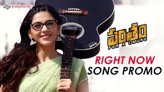 Right Now Video Song Promo  Pantham Movie Songs  Gopichand  Mehreen  Sri Sathya Sai Arts [upl. by Lebazej366]