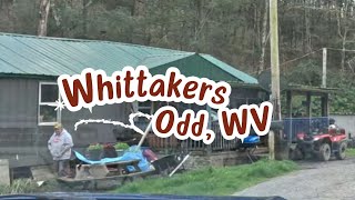 The Famous Whittakers of Odd West Virginia [upl. by Strickler]