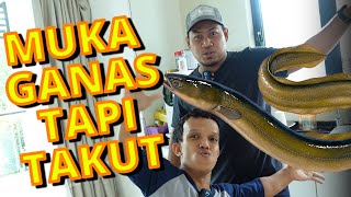 PRANK Ajoi Siang BELUT Hidup MUKBANG KELAKAR [upl. by Cathryn]