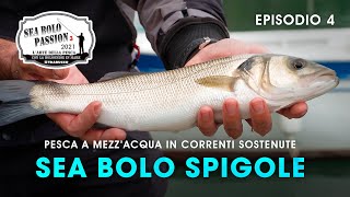 Pesca a bolognese in MARE SPIGOLE e correnti sostenute  SEA BOLO PASSION S3E4  trabuccofishing [upl. by Nibroc]