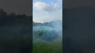 Customer states mosquito fogger mode activated [upl. by Aiouqahs602]