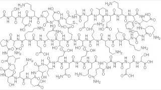 SILENT TB 500  THYMOSIN BETA 4 RAPID HEALING MORPHIC FIELD [upl. by Edrea414]