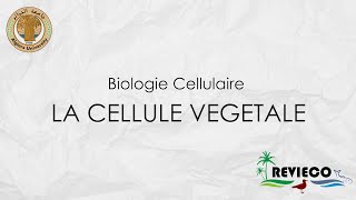 La Cellule Végétale TP°3 [upl. by Mendive80]