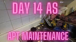 Day 14 as apartment maintenance [upl. by Clara871]