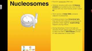 Nucleosomes Regulate Transcription 2016 IB Biology [upl. by Cart626]