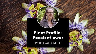 Plant Profile Passionflower with Emily [upl. by Yotal]