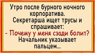 Как секретаршу по кругу пустили Сборник свежих анекдотов Юмор [upl. by Beverlie]