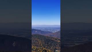 Colourful mountain Hightop summit trail hightop fallcolors short shenandoahnationalpark reels [upl. by Tessie]