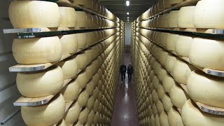 Massimo Botturas obsession with ParmigianoReggiano [upl. by Aley103]