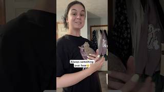 Crazy ALL the time😵‍💫 cutepets reptiles lizard beardeddragon petlizard [upl. by Crispa]