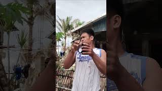 Ito na yata ang bagyong pepito ah [upl. by Nelac]