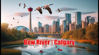 Bow River from Downtown Calgary  Canada  4K Video [upl. by Linnette]