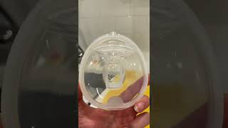 Medela HandsFree Collection Cups – Info About the O Ring Part [upl. by Abigail]