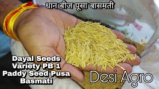 Variety PB 1 Dayal Pusa Basmati  Paddy Seed Pusa Basmati  धान बीज पूसा बासमती basmathi seeds [upl. by Forsyth]