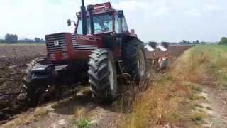 Fiatagri 18090  quadrivomero moro warrior [upl. by Tove]