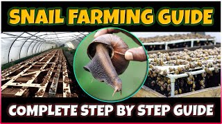 Snail Farming A Beginners Guide to Success [upl. by Dehnel]