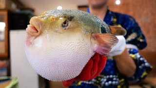 Japanese Food  POISONOUS FUGU Fukumeshi Okinawa Seafood Japan [upl. by Kubis]