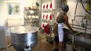 Northland Sheep Dairy  Cheese Makingmov [upl. by Illak684]