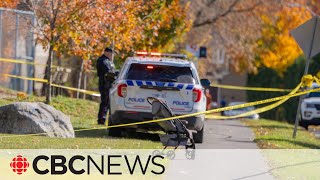 Woman stabbed to death in Ottawa park suspect arrested [upl. by Cassi]