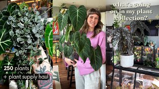 🪴 i have too many plants updates for may  houseplant essentials unboxing [upl. by Disharoon904]