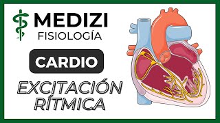 Clase 20 Fisiología Cardíaca 5  Excitación rítmica del corazón IGdoctorpaiva [upl. by Kimmie454]