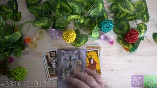 Bik  Prava ljubav stize da li ste spremni 💕Tarot Citanje 🔮 [upl. by Okun374]