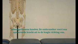 SIprovocatietest Thigh Thrust test Van der Wurff [upl. by Athalie990]