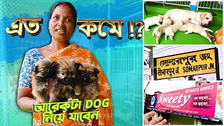 LOW PRICE DOG BREED SELLER IN KOLKATA  DOG BREEDER AT SONARPUR KOLKATA  DOG FOR SELL  8820055551 [upl. by Kazmirci]