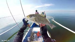 Manila Bay Fishing Spot  Ultralight Game  Handline Fishing [upl. by Riggs]