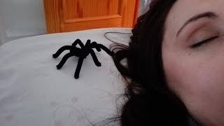 DIY  Araña con Limpia Pipas [upl. by Wes662]