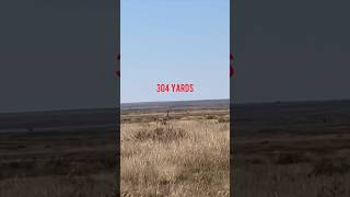 65 PRC Pronghorn at 304 Yards [upl. by Mllly]