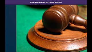 Understanding Laws  Civics  Class 8 [upl. by Edmead]