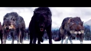 Wolfteam de KraL Biziz Gölge Haramileri klan şarkısı teaser  Femberi amp Bensen [upl. by Steele184]